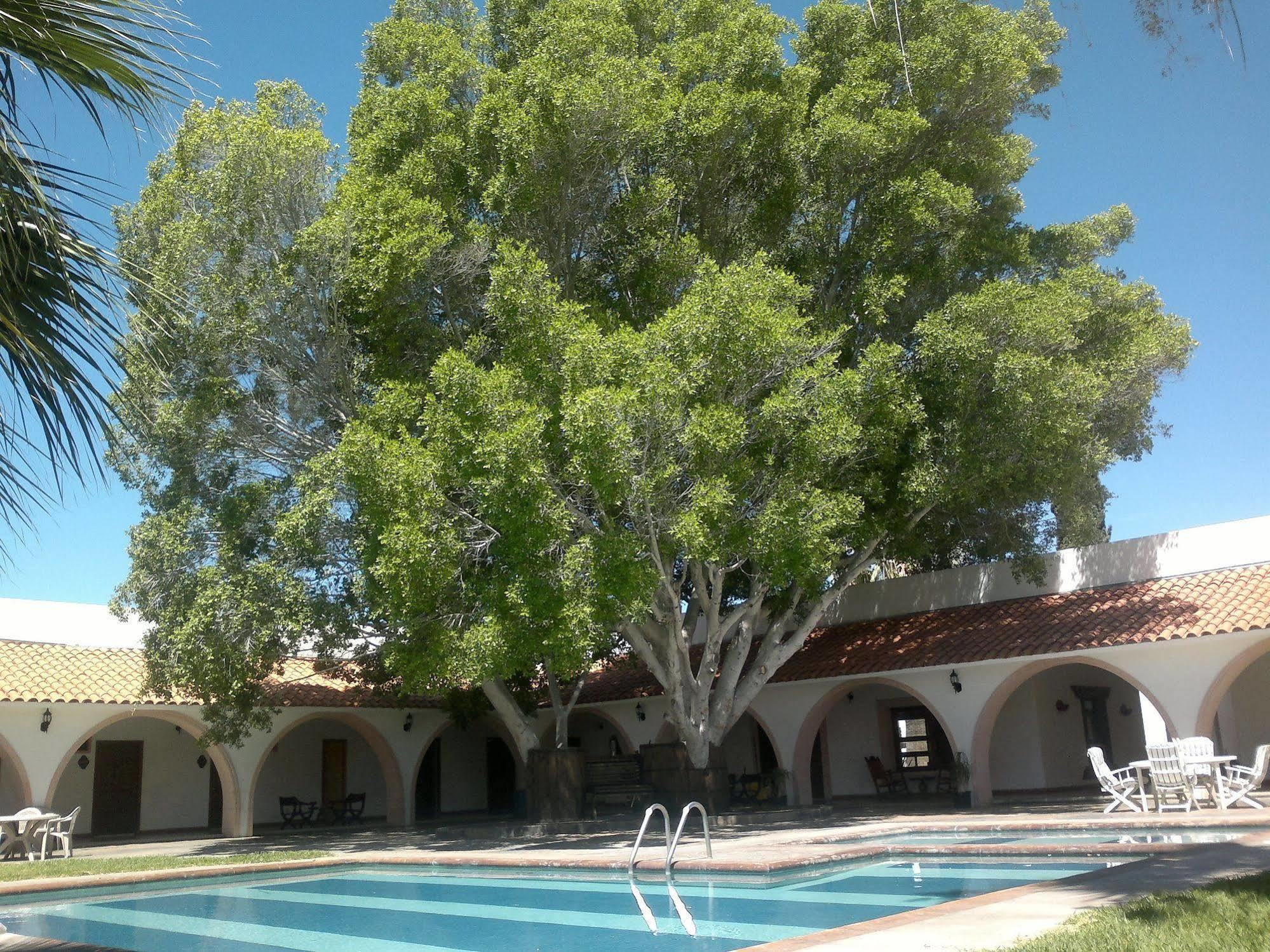 Hotel Mision Catavina Exterior photo